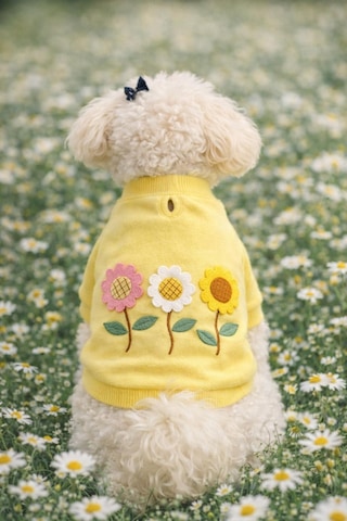Gedyco Daisy Yellow İçi Polarlı Küçük Irk Köpek Sweatshirtü