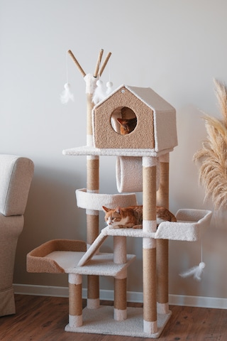 Kuara Bella Kedi Ağacı 3 Katlı Tırmalama Direği Yatak ve Oyuncaklı
