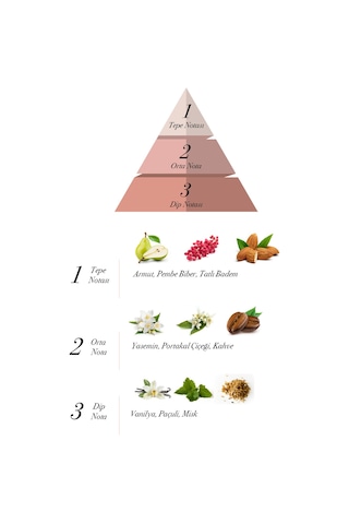 Prova Black Option Kadın Parfüm EDP 100 ML