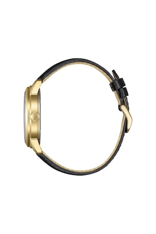 Citizen Day-date Aw0153-04ac Eco Drive Erkek Kol Saati Rose Gold