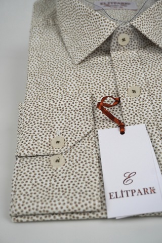 Elitpark River Stones Pamuklu Cepsiz Desenli Regular Fit Açık Yeşil Erkek Gömlek