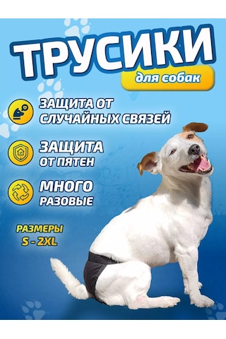 Anshery Köpekler İçin Kızgınlık Dönemi İçin Tekrar Kullanılabilir Külotlar 176563743