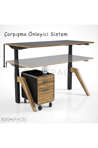 Regula Desk Dandy - Elektrikli Yükseklik Ayarlı Çalışma Masası, Sıradışı Tasarım, Çift Motorlu, Bluetooth Ko Çok Renkli