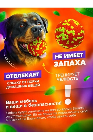 Petfort Köpekler İçin Çiğneme Oyuncağı, Süper Dayanıklı Top 159440580