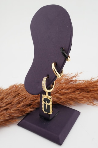 Kadın Kararmaz Mineli Kalp Detaylı Zirkon Küpe Set Altın-M