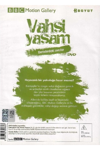 Bbc Motion Gallery - Vahşi Yaşam Derinlerdeki Avcılar Karayipler'de Vahşi Yaşam Küçük Türler - Dvd