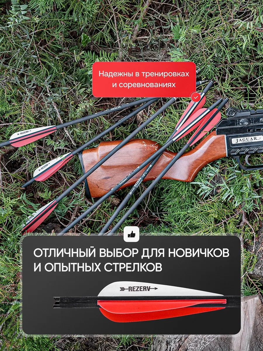 World Pro Arbalet Okları 18 İnç, 6'lı Set 240506046