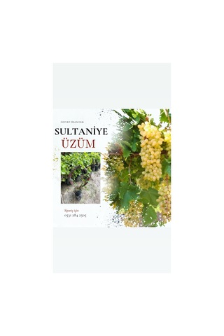 Tüplü Sultaniye Üzüm Fidanı 2 Yaş Çekirdeksiz 1-2 Metre Tüplü Sultaniye Üzüm Fidanı 2 Yaş Çekirdeksiz 1-2 Metre
