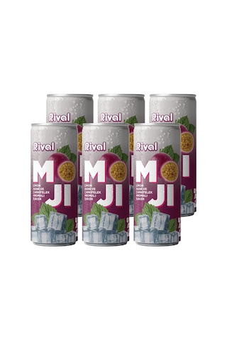 Rival Moji Limon, Nane Ve Çarkıfelek Meyvesi Aromalı Gazlı İçecek 250 Ml 6'lı