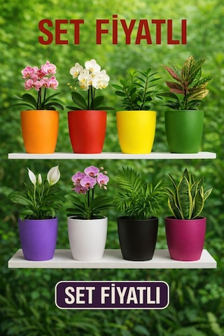 9 Adet Rengarenk Dekoratif Orkide Saksısı - Orkide Dış Saksıları