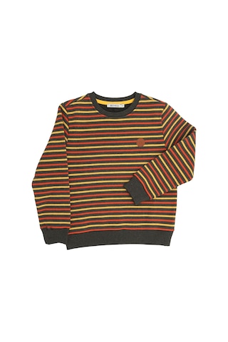 Erkek Çocuk Recycle Pamuk Çizgili Sweatshirt 001 Çok Renkli