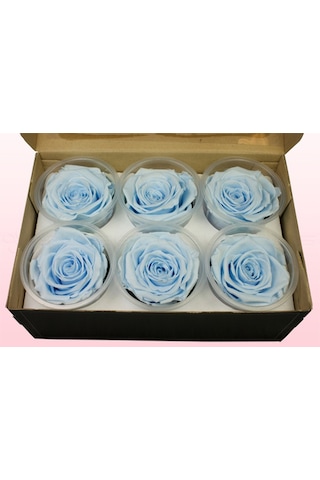 Rose Amor BLU-89 MAVİ şoklanmış solmaz gül XL
