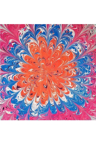 Elif Ebru Ebru Sanatı El Yapımı Özel Koleksiyon Twill İpek Eşarp Ozltıe 18 001