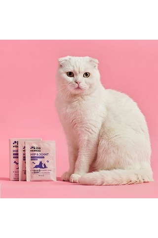 Kito Hip & Joint Kedi Köpek  ve Kas  15 x 2 G
