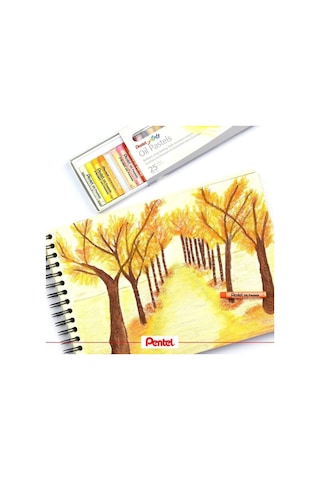 25 Renk, , Phn-25, 25 Renk İle Çizim İçin Yağlı Pastel Tebeşir