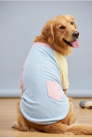 Bubbles Pastel Orta Ve Büyük Irk Köpek Tişörtü Lacivert Kırmızı Yazlık Köpek Kıyafeti Bubbles Pastel Orta Ve Büyük Irk Köpek Tişörtü Lacivert Kırmızı Yazlık Köpek Kıyafeti
