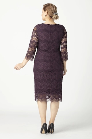 Moda Berray 1293 Dantel Elbise Mürdüm Büyük Beden Kısa Abiye Mürdüm