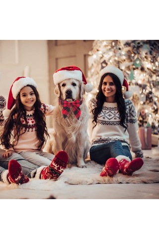 Leezsingfiyonklu Noel Köpek Tasması, Ayarlanabilir Pamuklu Kırmızı Kareli Papyon Büyük Köpekler İçin Noel Köpek Tasmaları Evcil Hayvanlar-8