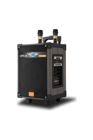 Lt-910 Kablosuz 2 Mikrofonlu Kablosuz Hoparlör