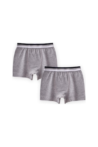 Cigit İkili Boxer 2-9 Yaş Gri