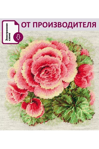 Rıolıs Begonyası 2122 Çalışma Seti 22x22cm 150441581