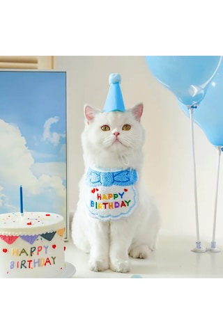 Kedi Ve Köpek İçin Şapka Ve Önlüklü Doğum Günü Kutlama Kostümü