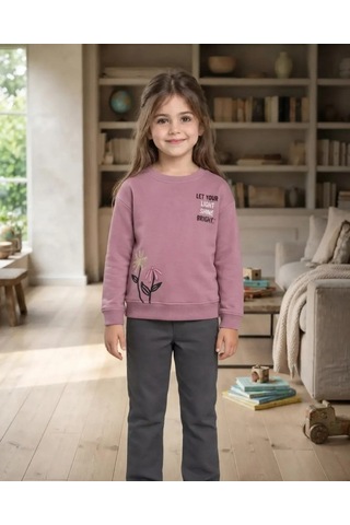 Roya Kız Çocuk Pembe Baskılı Sweatshirt Kışlık Rahat Kesim