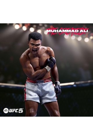 Electronic Arts Ufc 5 Standard Edition Ps5 Oyun 5 Sku: Smgstk94d0ab34a6