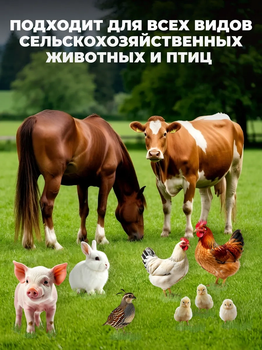 Alnikor Alnisan Diyatomit Kireçtaşı Tavuklar İçin 5 Kg Altlık Kurutucu 246222063