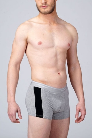 1 Adet Çift Kaplan 850 Biyeli Elastan Sportif Boxer Külot Gri