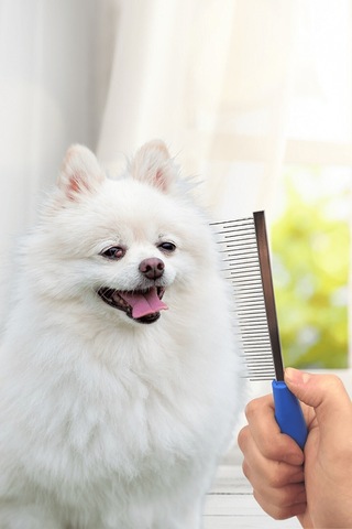 Kedi Tarağı Köpek Tarağı Kedi Köpek Tüy Açıcı