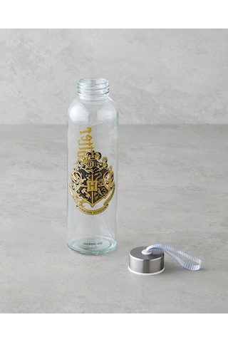 English Home Harry Potter Cam Lisanslı Şişe 500 Ml Renkli