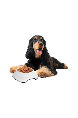 Silikon Kaydırmaz Taban Plastik Kedi Ve Köpek Mama Ve Su Kabı 2 L Bx40