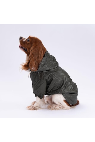 Pettrend Haki Mont Köpek Mont Köpek Kıyafeti Köpek Yağmurluğu