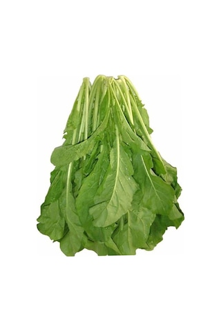 Roka Tohumu Yerli Roka Tohumu Yetiştirme Kiti