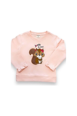 Kız Çocuk Sincap İşlemeli Sweatshirt-14667 Pudra