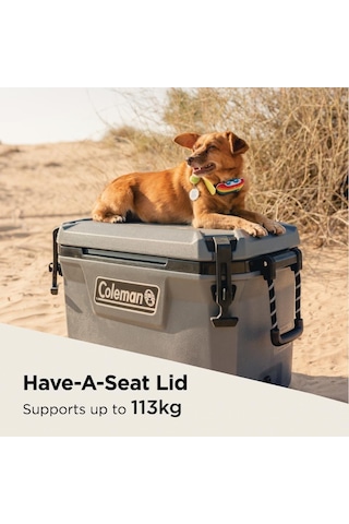 Coleman Convoy 55 Qt Taşınabilir Soğutucu Buzluk 52 Lt gri