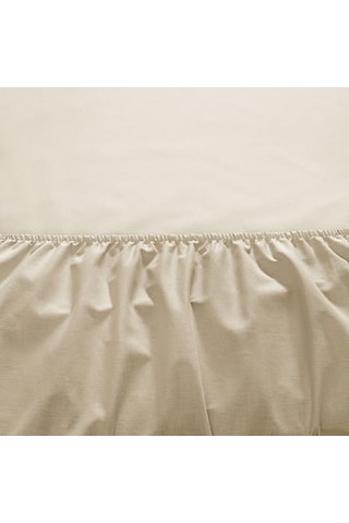 Taç Color Dreams Ranforce King Size Fitted Çarşaf Seti Vizon Ab Siyah Kedi