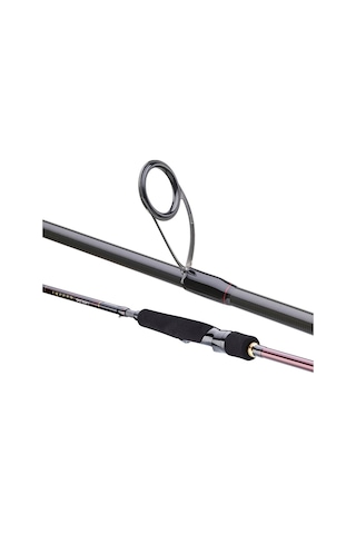 Daiwa Infeet Seabass 2.44m 7-28gr 2p Kamış