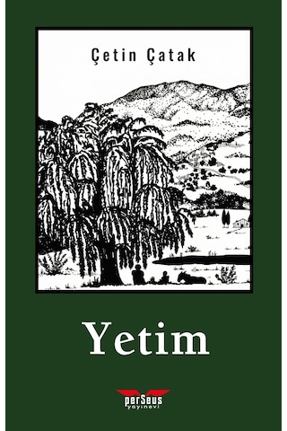 Yetim - Çetin Çatak - Perseus Yayınevi