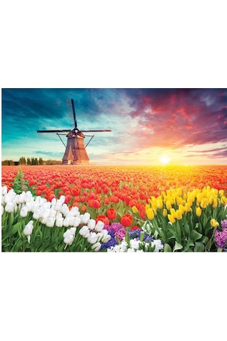 1000 Parça Puzzle - Tulıps And Wındmıll Laleler Ve Yel Değirmeni