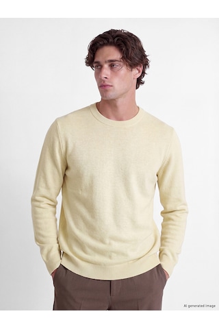Lcw Vision Sarı Regular Fit Erkek Triko Kazak