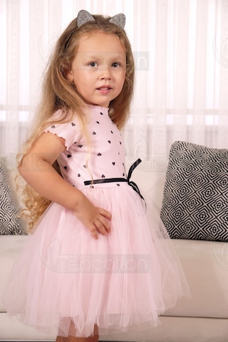 Kız Bebek-çocuk Kısa Kollu Doğum Günü Ve Özel Günler İçin Kalpli Tüllü Astarlı Elbise Kısakol-pembe Pembe
