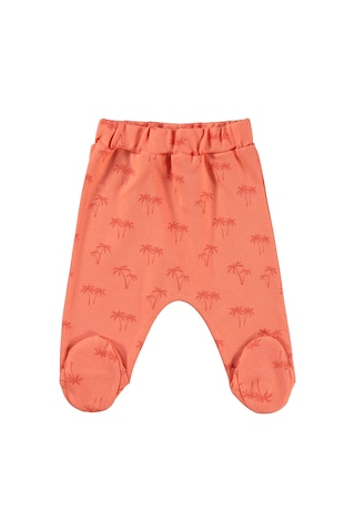Civil Baby Palmiye Baskılı 2'li Set 1-9 Ay Tek Alt Bebe - Mercan-mint