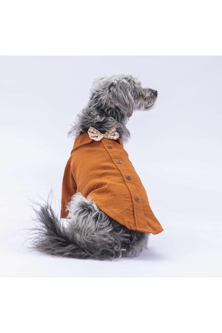 Pawstar Kahverengi Linen Look Kedi Köpek Gömleği