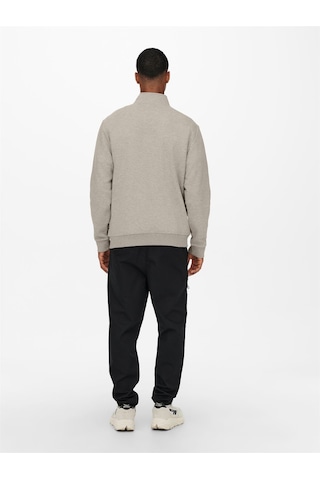 Only & Sons Onsceres Half Zıp Sweat Noos Erkek Gri Sweatshirt - 22019055 Gri