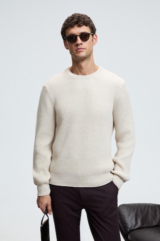 CABLIN Erkek Yuvarlak Yaka Regular Fit Triko Taş Rengi Kazak