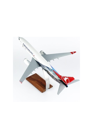 Thy008 1/100 Ölçek, Thy Cezayir Logolu B737-800 Yolcu Uçağı, Sergilemeye Hazır Ahşap Standlı Model-56262