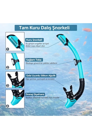 Yetişkinler İçin 3 İn 1 Profesyonel Dalış Seti L/xl Palet Gözlük Şnorkel Seti Dalış Yüzme Ekipmanı Siyah