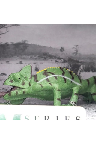 Animal World Vahşi Hayvanlar Sürüngenler 65806 Bukalemun